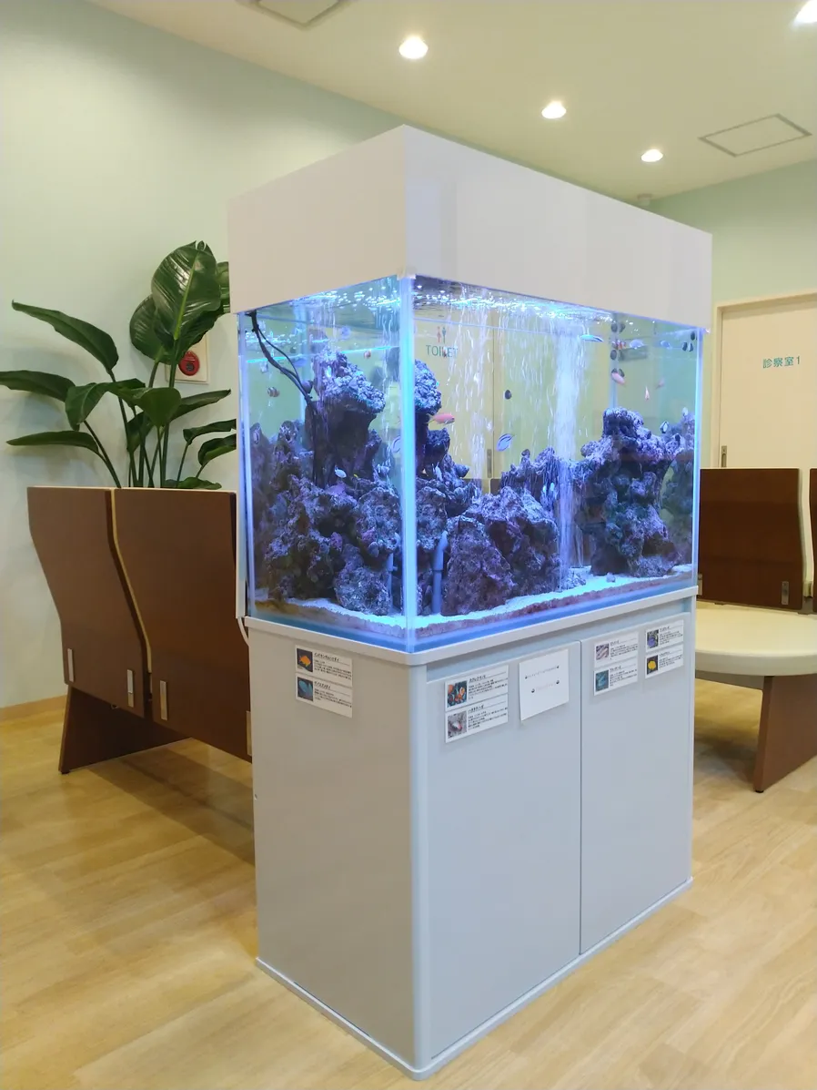 湘南辻堂はま皮ふ科クリニック